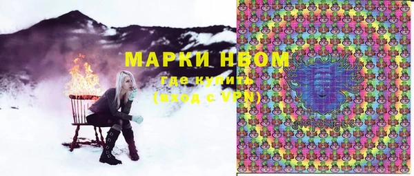 таблы Новозыбков