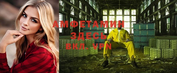 ГАЛЛЮЦИНОГЕННЫЕ ГРИБЫ Вязьма