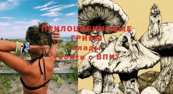 бутират Вяземский