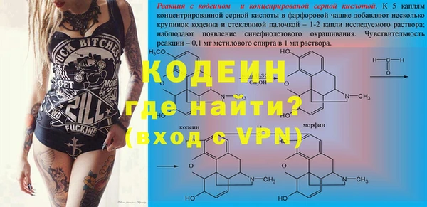 ГАЛЛЮЦИНОГЕННЫЕ ГРИБЫ Вязьма