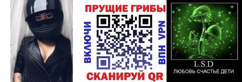 Купить где  Кириши  Галлюциногенные грибы мицелий 